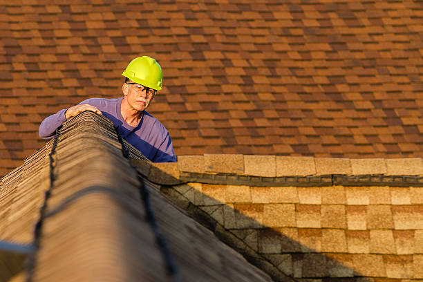 Best Roof Gutter Cleaning  in Bridgeport, NY